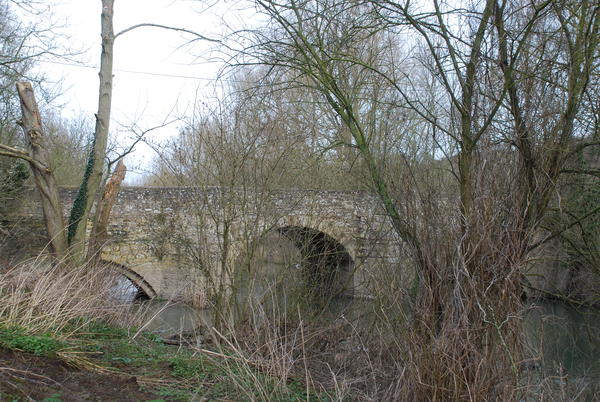 Bridge6