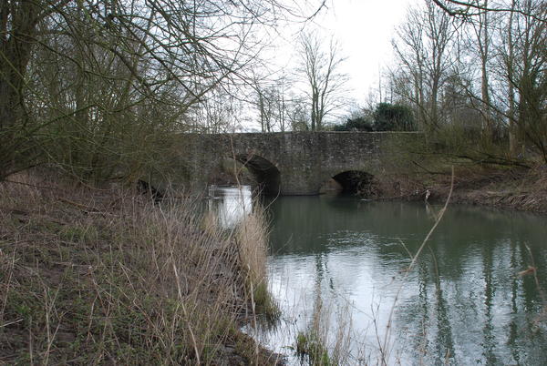 Bridge7