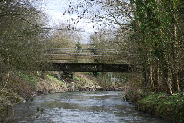 Bridge2
