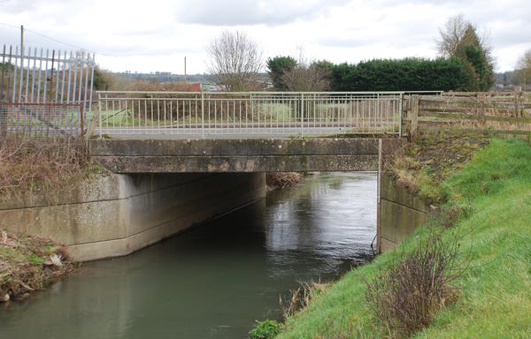 Bridge2