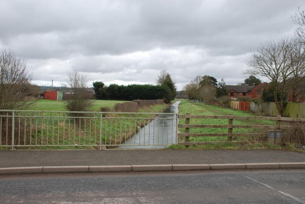 Bridge3