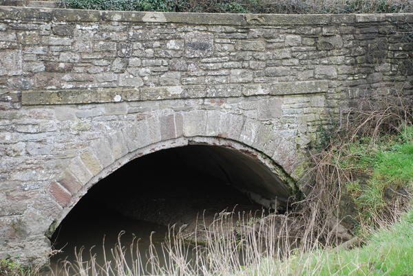 Bridge2