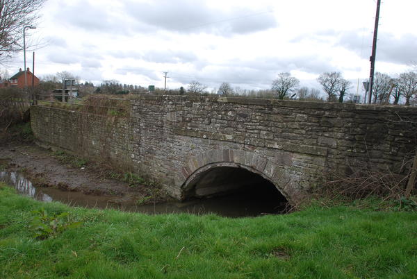 Bridge3