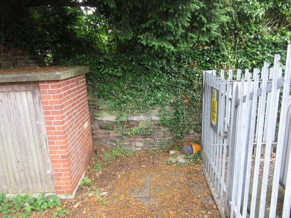 Bridge3